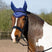 Gallop Classic Fly Veil #colour_navy