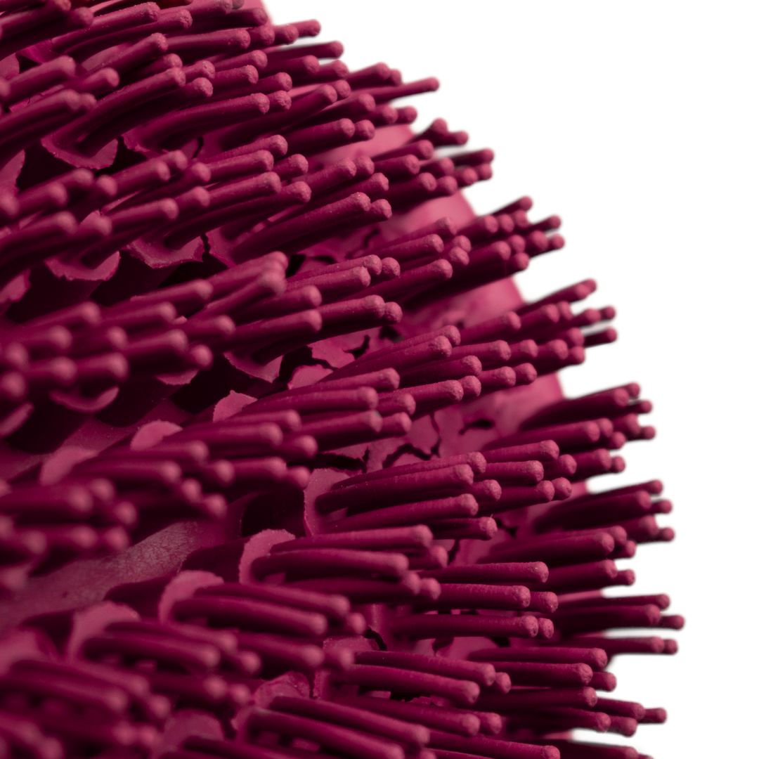 GS Equestrian Wonder Hand Glove