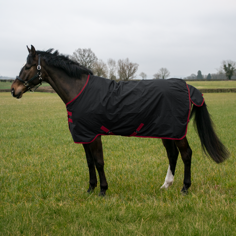 GS Equestrian 600D Waterproof Turnout Rug 0g