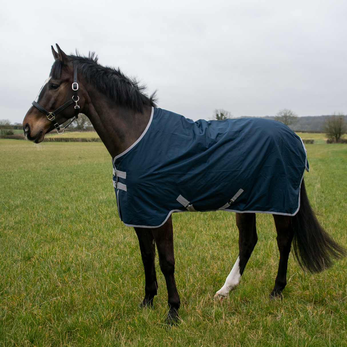 GS Equestrian 600D Waterproof Turnout Rug 100g