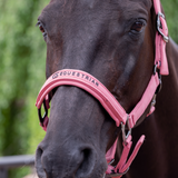 GS Equestrian & Country Revella Headcollar