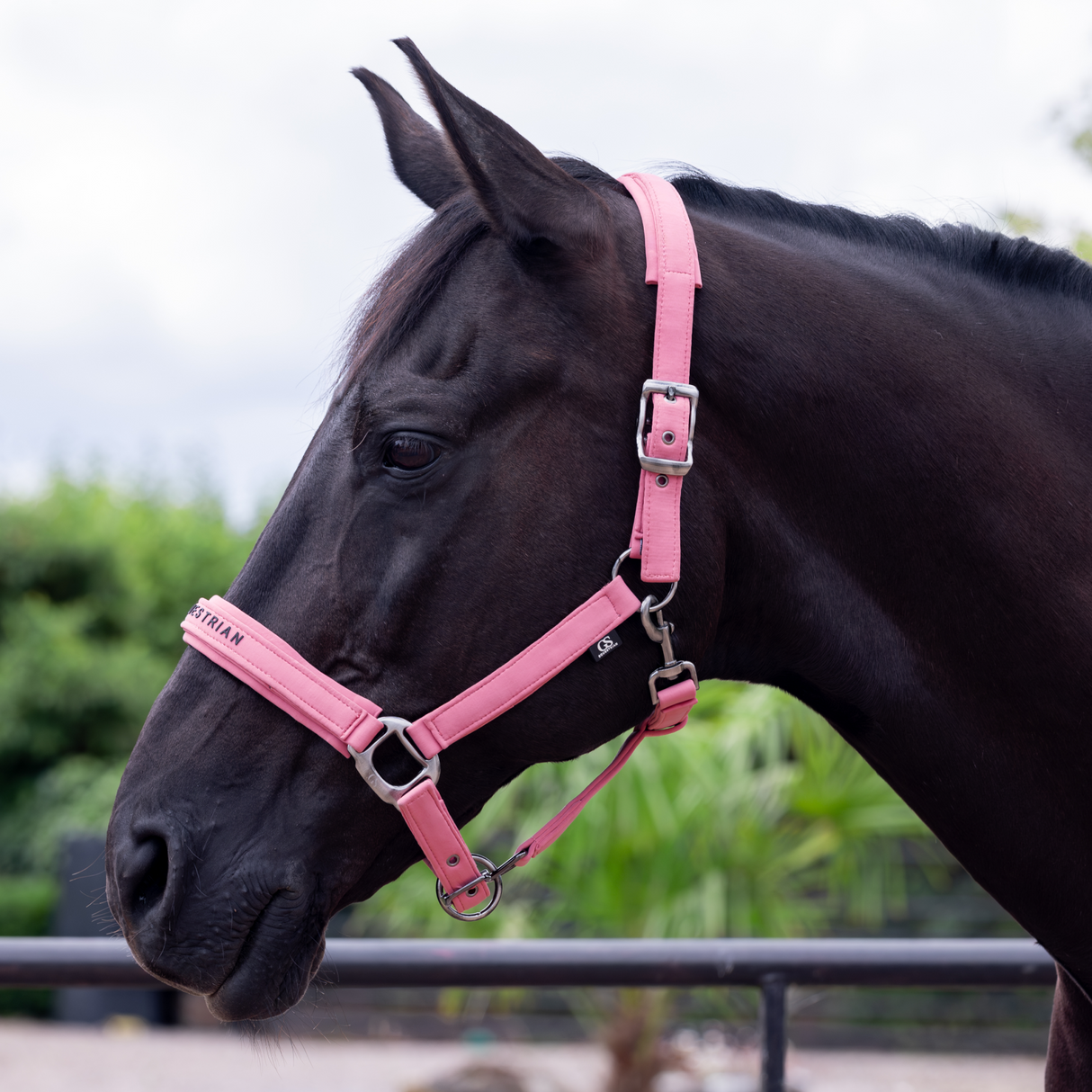 GS Equestrian & Country Revella Headcollar