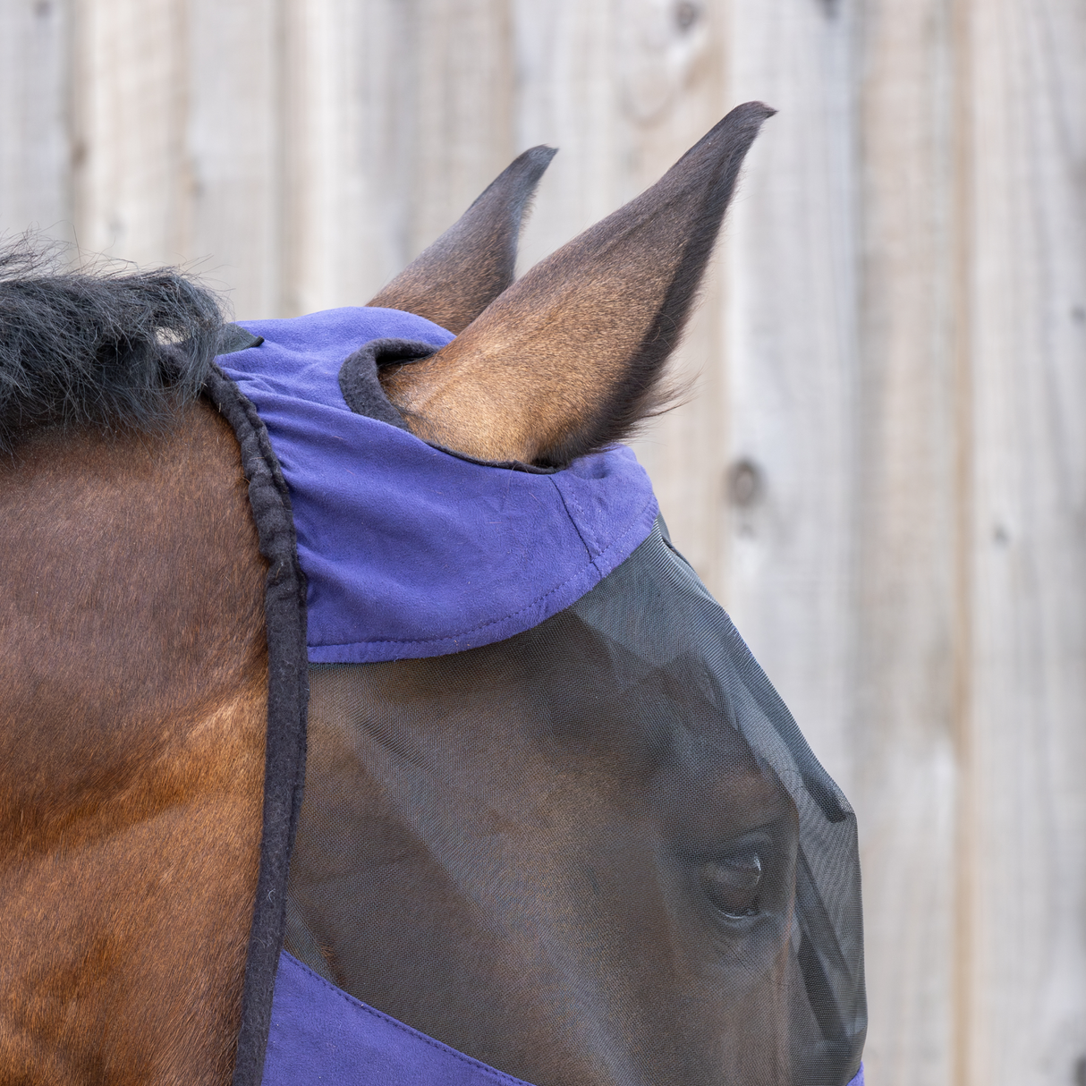 GS Equestrian & Country Revella Standard Fly Mask