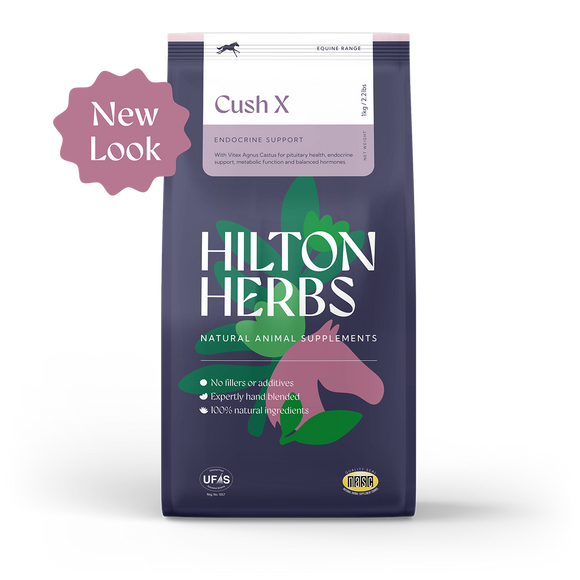 Hilton Herbs Cush X for Horses