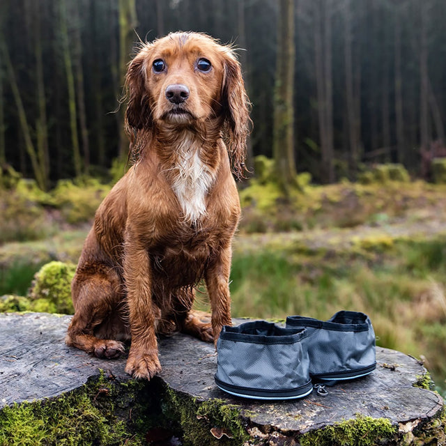 Henry Wag Snaffle Pack Bowl Set