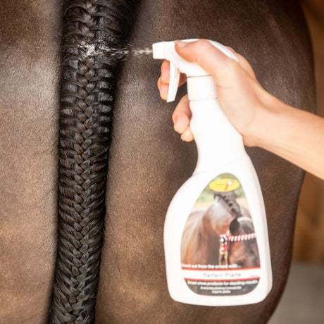 Smart Grooming Perfect Plaits