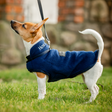 Horseware Ireland Signature Dog Fleece #colour_navy