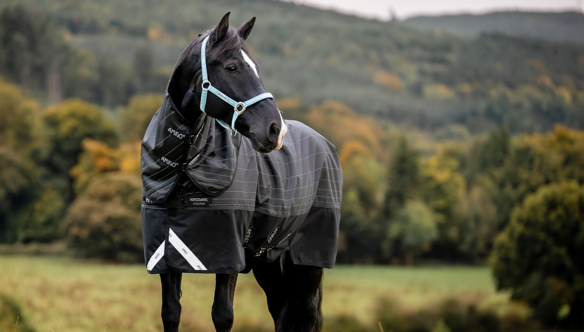 Horseware Ireland Horse Wear & Apparel – GS Equestrian