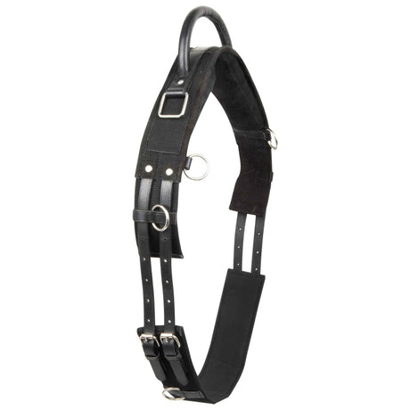 Imperial Riding Vito Lunging Girth #colour_black