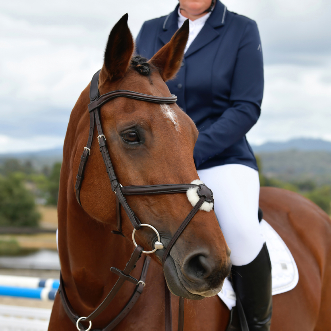 Briglie anatomiche per l'equitazione Collegiate Comfitec Vogue Briglie anatomiche per l'equitazione Collegiate Comfitec Vogue