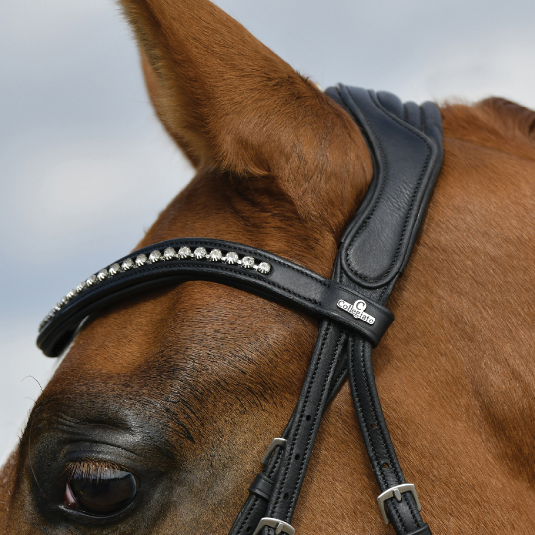 Collegiate Comfitec Opulux Padded Dressage Bridle