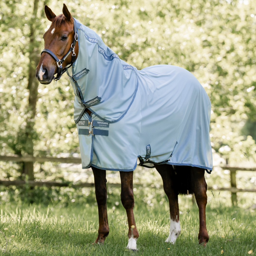 Horseware Ireland Amigo Bug Rug Plus #colour_heather-blue-blue-silver