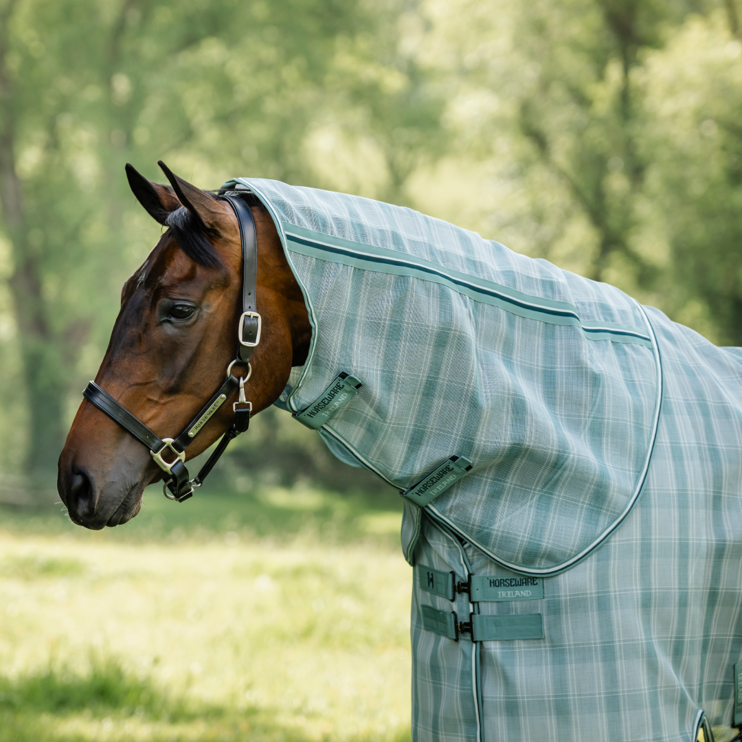 Horseware Ireland Newmarket Fly Sheet Hood #colour_witney-dynstay