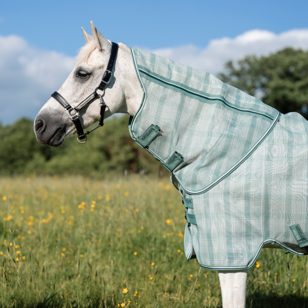 Horseware Ireland Newmarket Pony Plus Fly Sheet #colour_witney-dynstay