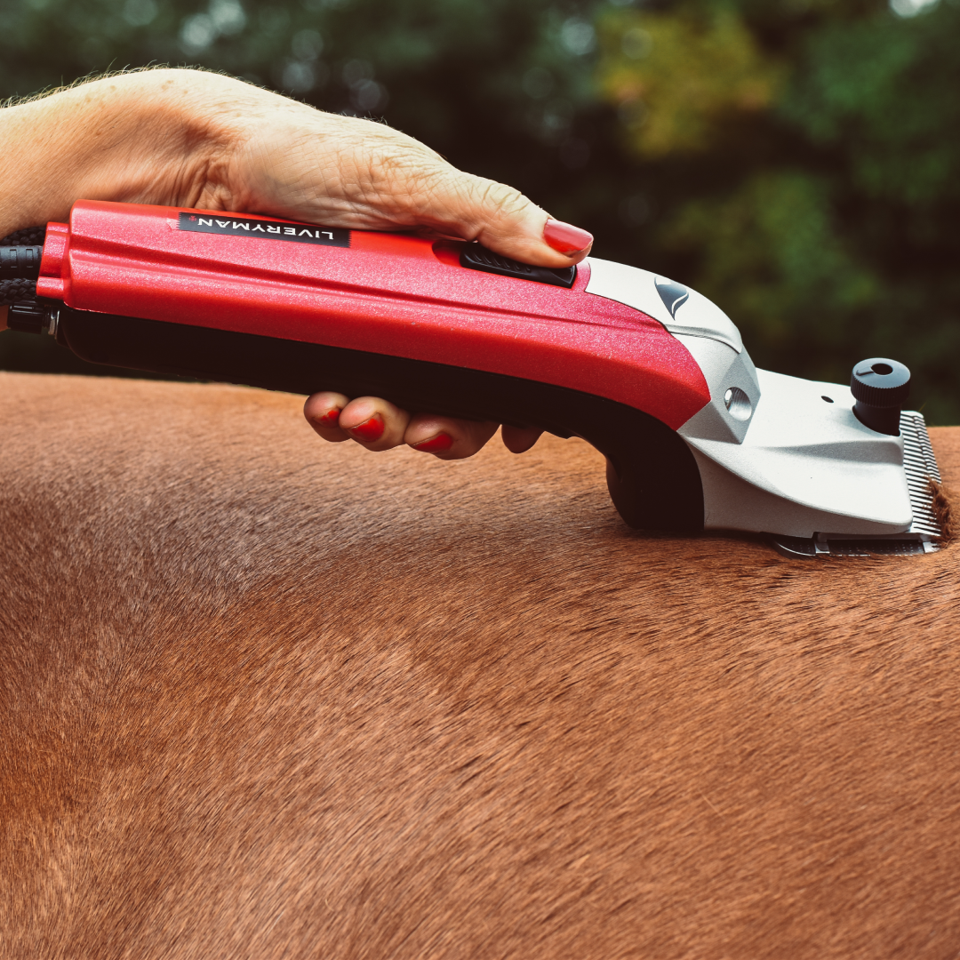Liveryman Black Beauty Mains Horse Clippers