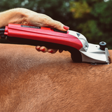 Liveryman Black Beauty Mains Horse Clippers