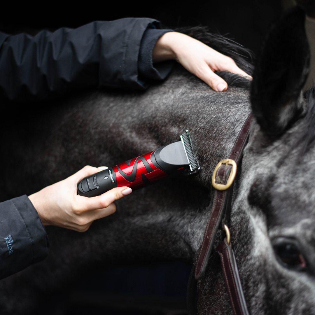 Liveryman Harmony Plus Rechargeable Clipper with Narrow Blade 1.6mm