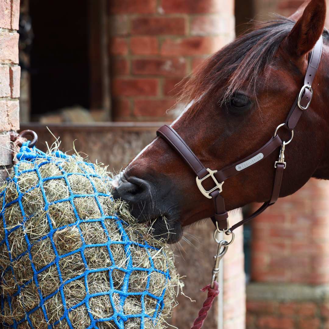Equilibrium PortionPacer Haynet Slow Feeder