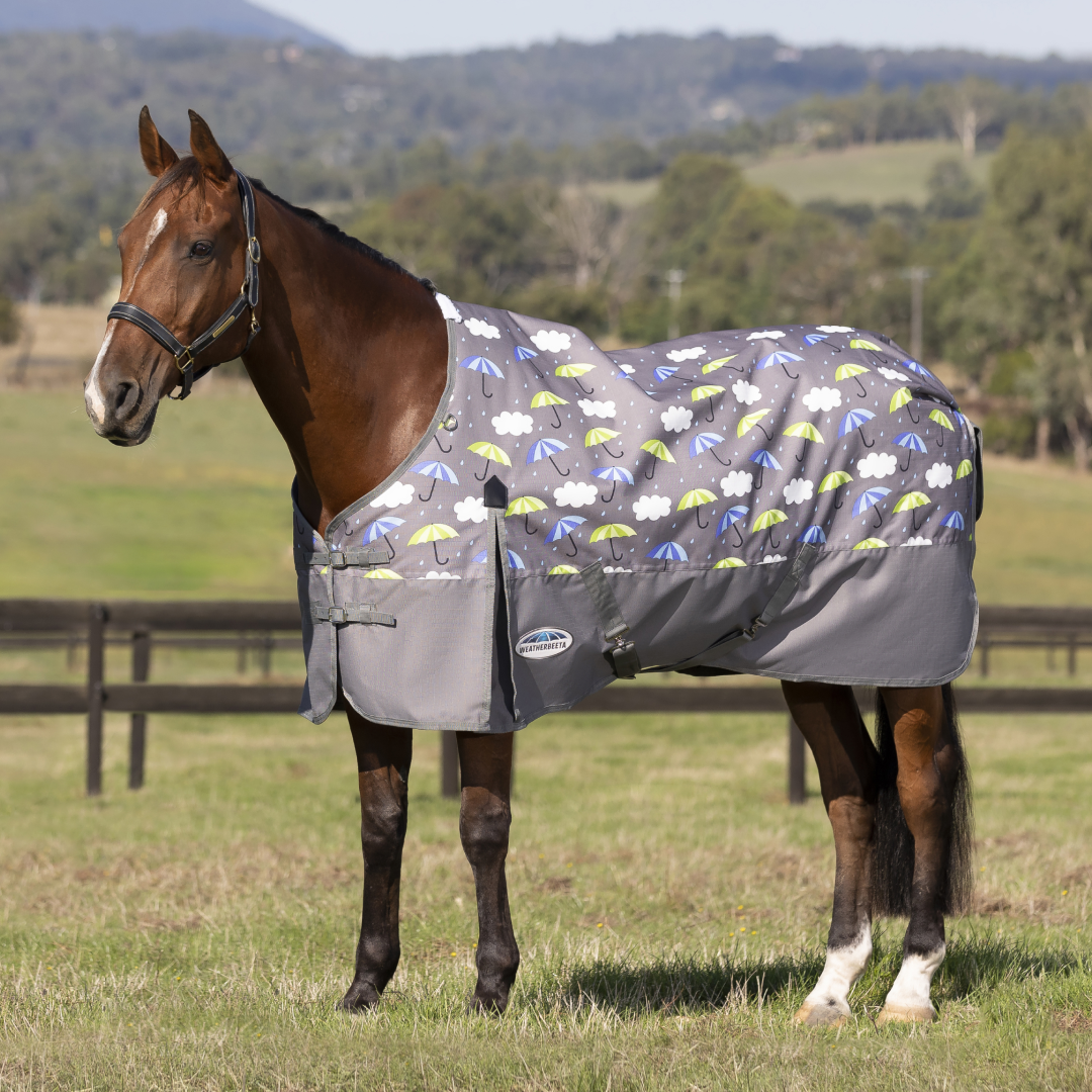 Weatherbeeta Comfitec Essential Standard Neck Lite Rug – GS Equestrian