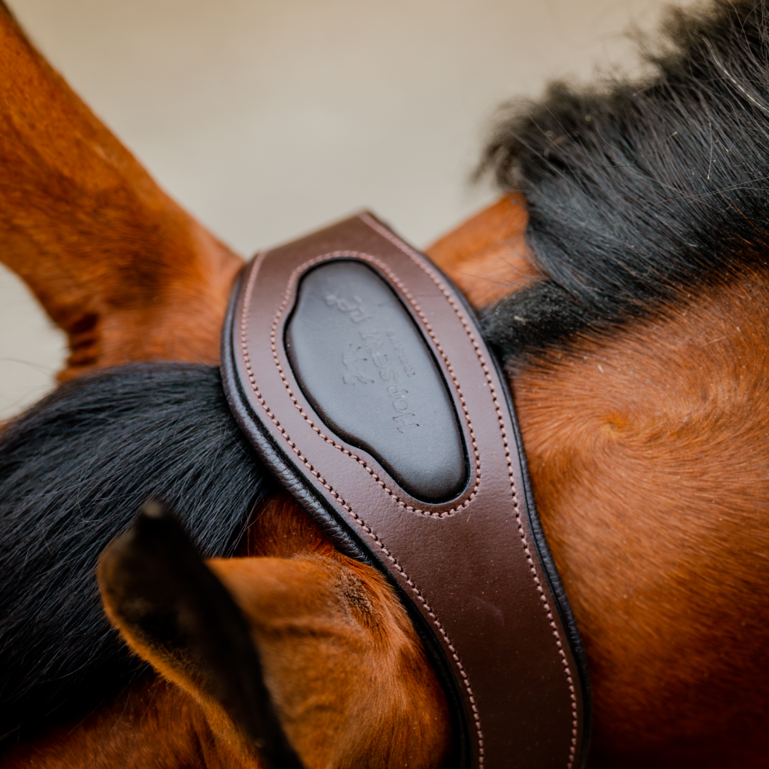 Horseware Ireland Signature Competition Headcollar #colour_brown-blue-haze