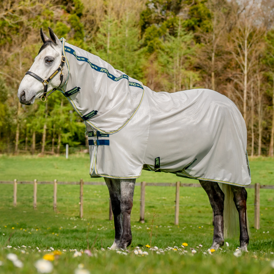 HORSEWARE Amigo Bug Buster Vamoose ブランケット 乗馬 馬術