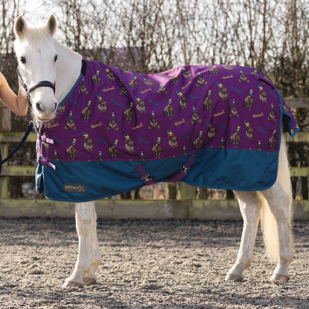 StormX Original 100g Turnout Rug Thelwell Collection Pony Friends