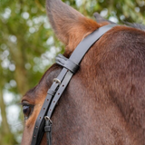 Gepolstertes Flash-Zaumzeug von GS Equestrian