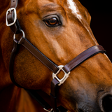 Horseware Ireland Signature Leather Headcollar #colour_brown