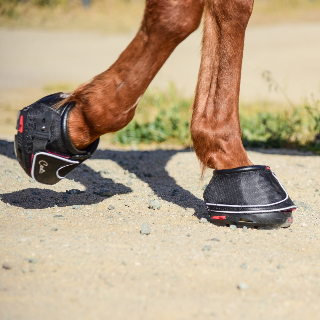 Cavallo Sport Boot Slim