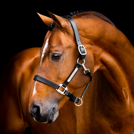 Horseware Ireland Signature Leather Headcollar #colour_black