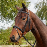 GS Equestrian Padded Flash Bridle