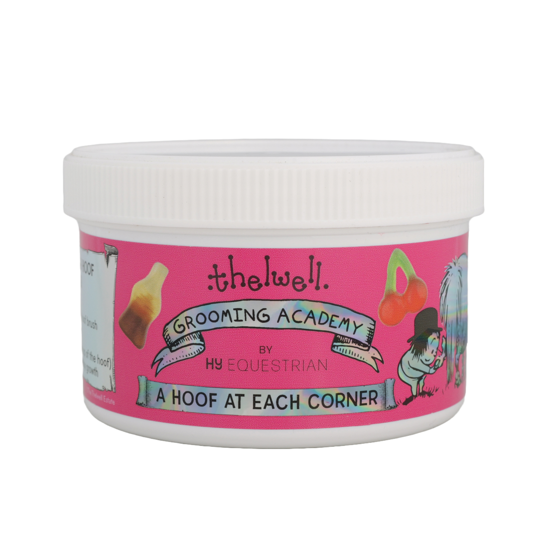 Hy Equestrian Thelwell Grooming Academy - A Hoof at Each Corner