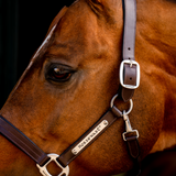 Horseware Ireland Signature Leather Headcollar #colour_brown
