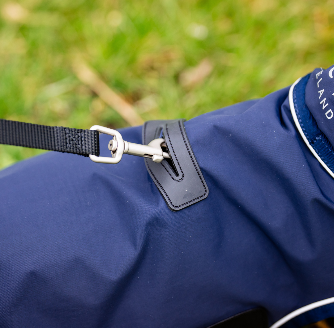 Horseware Signature Dog Rain Coat