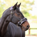 Arma Fleece Lined Lunge Cavesson #colour_black