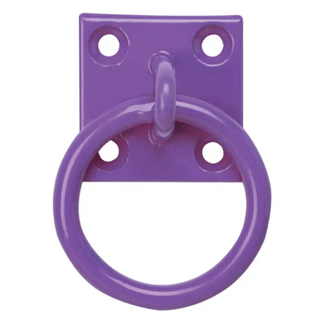 Perry Equestrian Chain Ring on Plate - Pack of 2 #colour_purple
