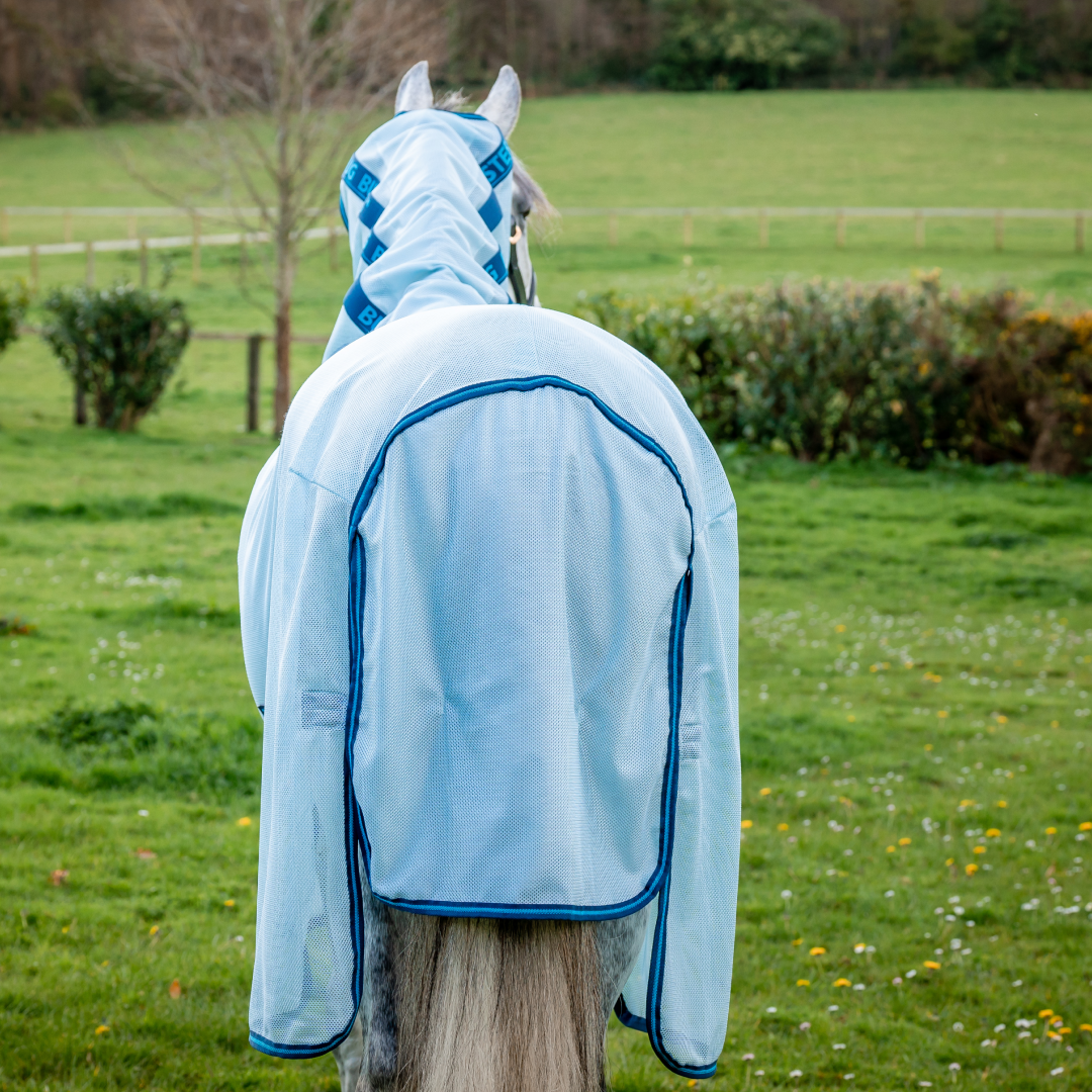 Horseware Ireland Amigo Bug Buster #colour_azure-blue-navy-electric-blue