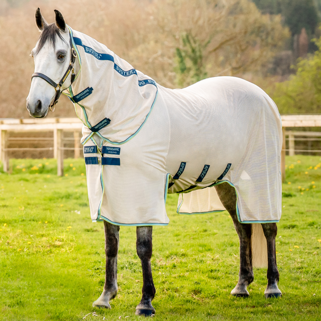 Horseware Amigo Bug Rug Azure Blue/ Electric Blue/ Navy | Griggs Equestrian