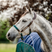 Horseware Ireland Signature Braided Headcollar #colour_brown-navy-hunter-green