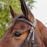 Gepolstertes Flash-Zaumzeug von GS Equestrian