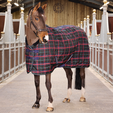Shires Tempest Plus 100g Stable Rug #colour_green-check