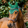 Horseware Ireland Signature Ear Net #colour_hunter-green