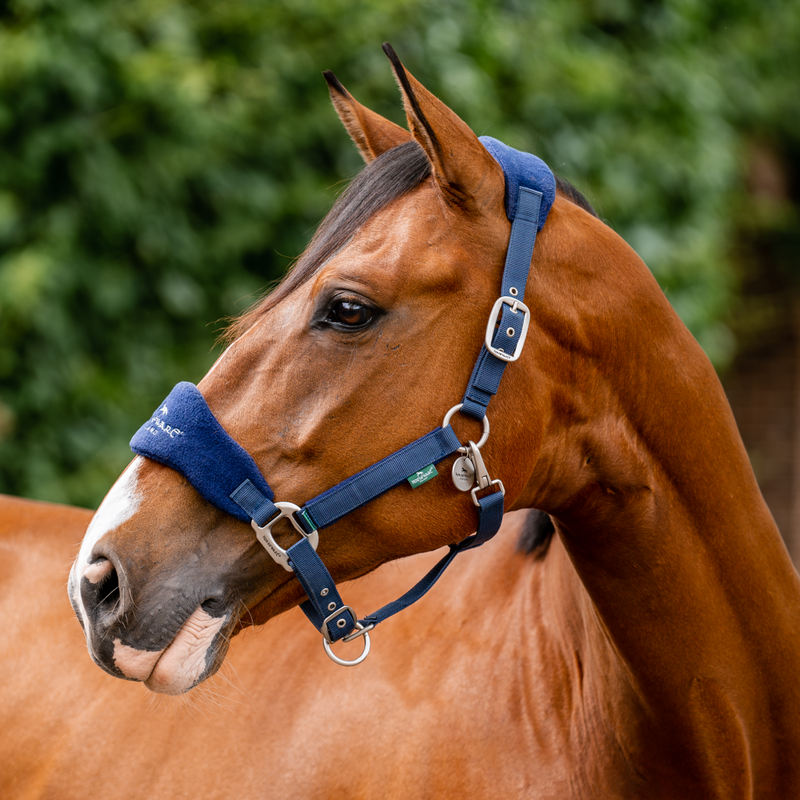 Horseware Ireland Signature Grooming Headcollar #colour_navy