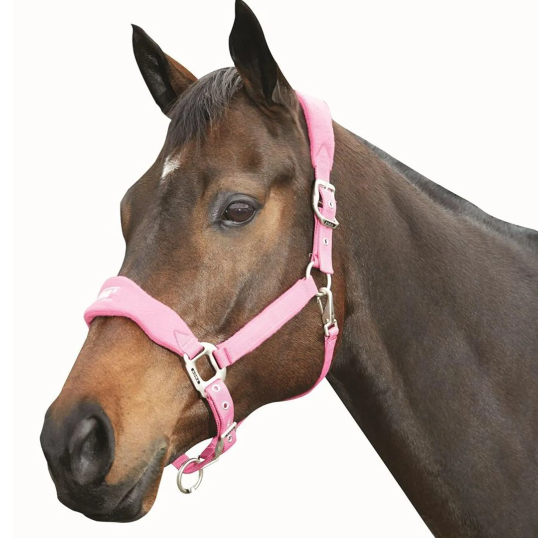Roma Fleece Shaped Headcollar – GS Equestrian
