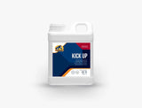Cavalor Kick-Up Premium Supplement for Horses