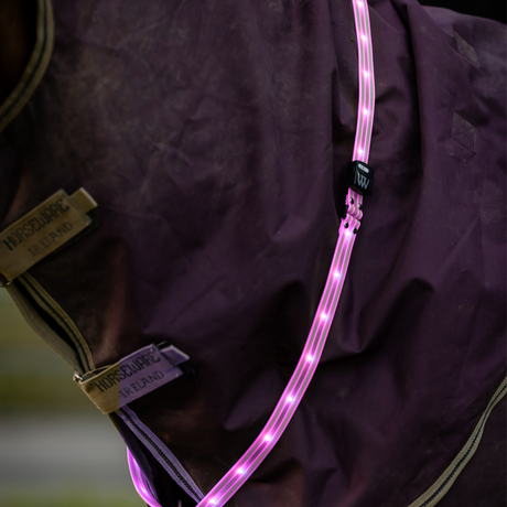 #colour_hi-viz-pink