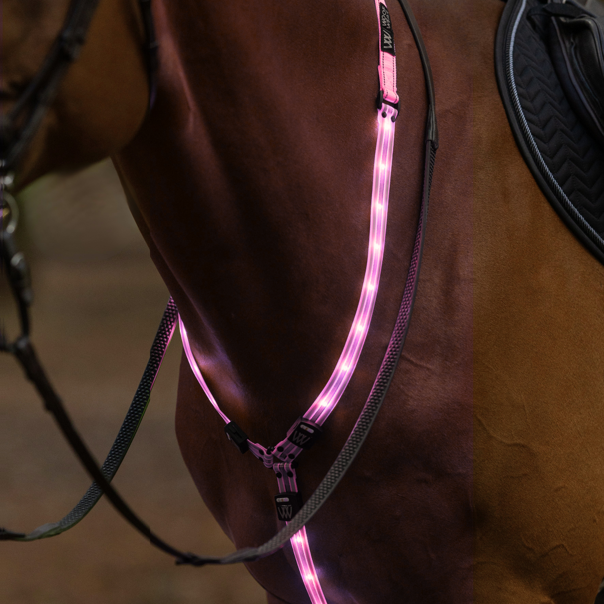 Woof Wear LED Neck Band