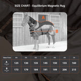 Equilibrium Therapy Magnetic Rug