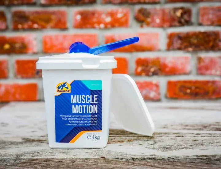 Cavalor Muscle Motion Support Supplement