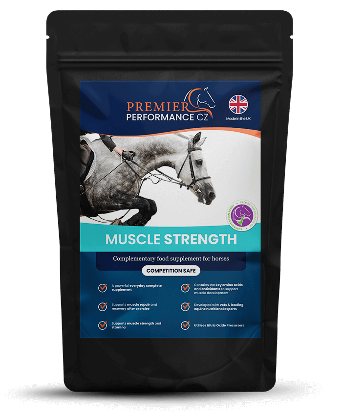 Premier Performance Muscle Strength